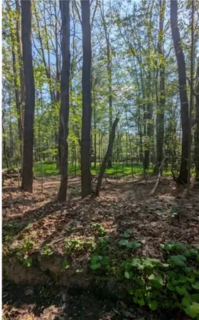 $19,750 | 4 Horse Shoe Bend Road, Acme, PA 15610