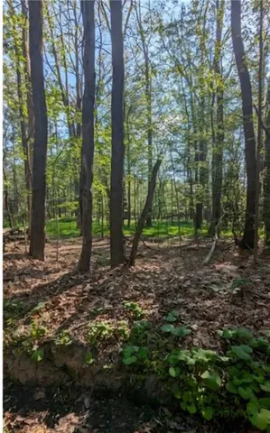 $19,750 | 4 Horse Shoe Bend Road, Acme, PA 15610