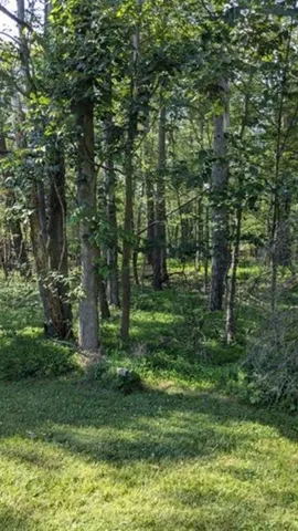 $19,750 | 4 Horse Shoe Bend Road, Acme, PA 15610