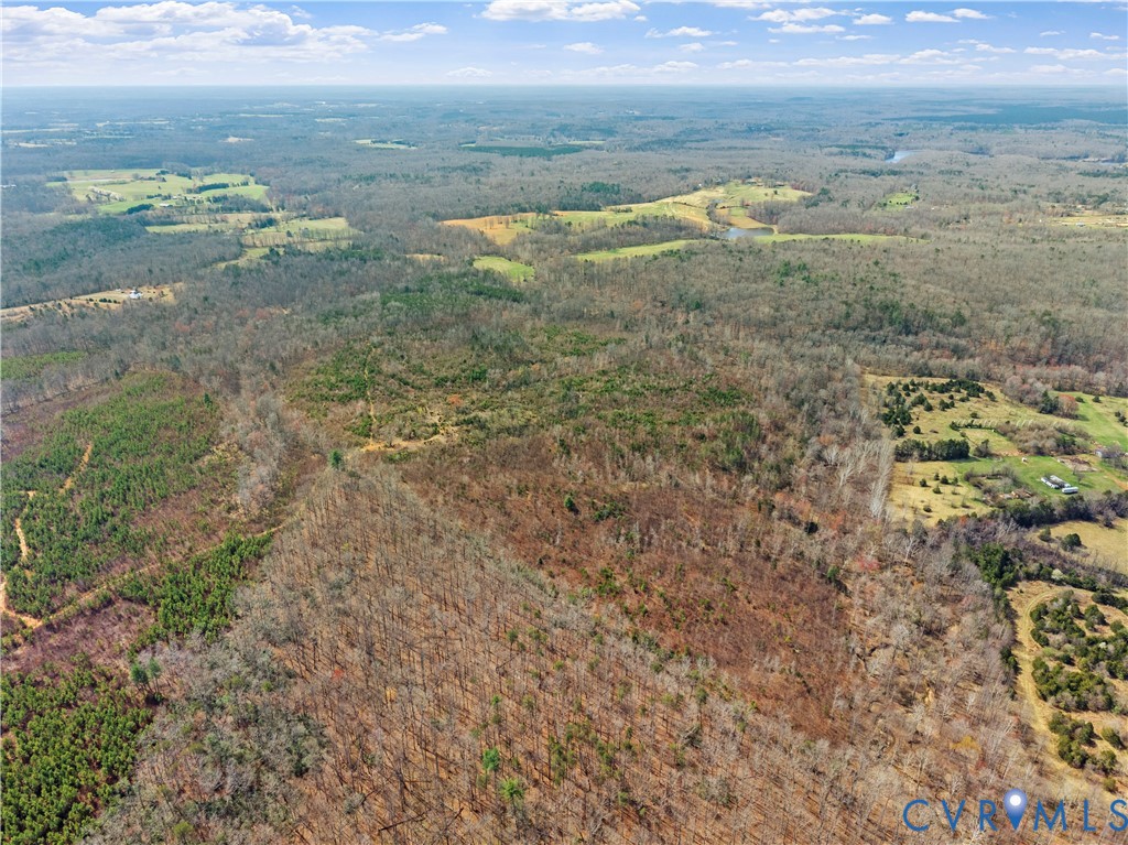 80.70-acres Kendall Road Orange, VA 22960 - Photo 4 of 21 Expansive wooded terrain featuring mature deciduou