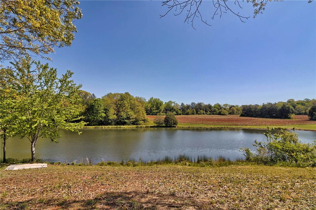 1136 Moorehead Place Pendleton, SC 29670 - Photo 3 of 32
