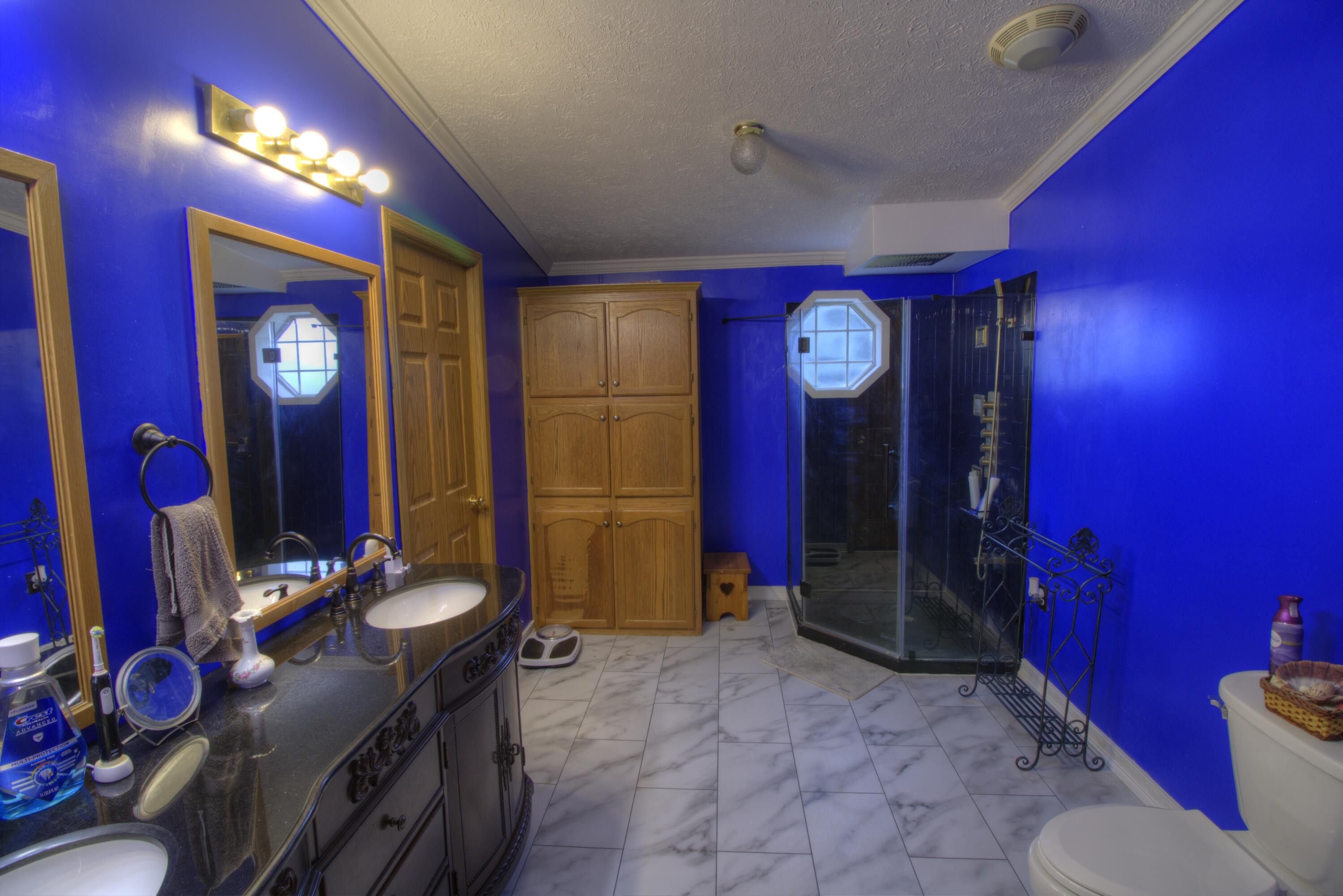 8529 Newcomb Road Vestaburg, MI 48891 - Photo 11 of 24 Primary Bath