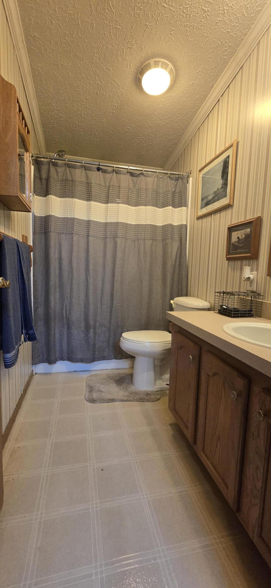 8529 Newcomb Road Vestaburg, MI 48891 - Photo 16 of 24 shared bath room