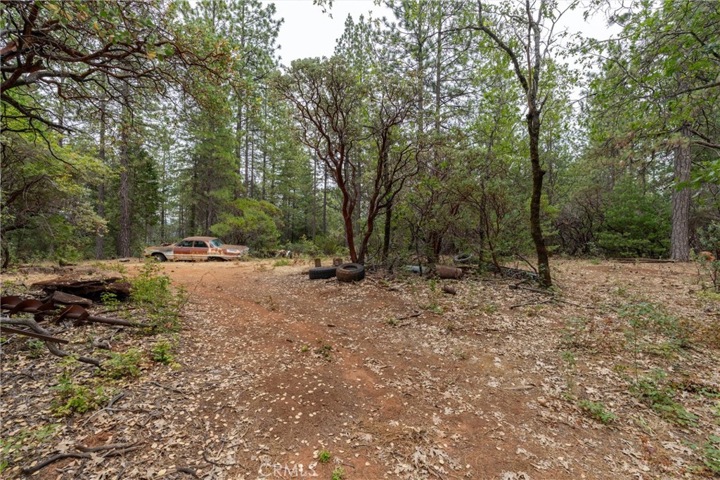 15184 Siwini Road Forest Ranch, CA 95942 - Photo 35 of 75