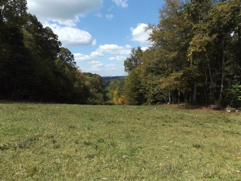 Tbd Dugspur Road, Unit 1 Dugspur, VA 24325 - Photo 12 of 16 Gallery Image 12