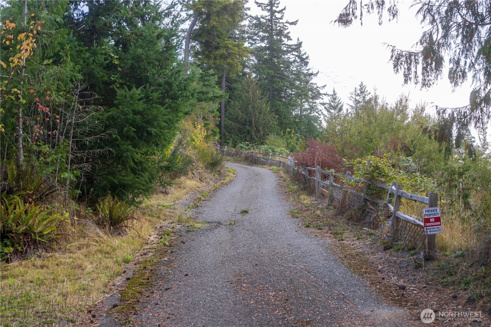 157 Chuckanut Crest Drive Bellingham, WA 98229 - Photo 13 of 40 a view of a forest with large trees