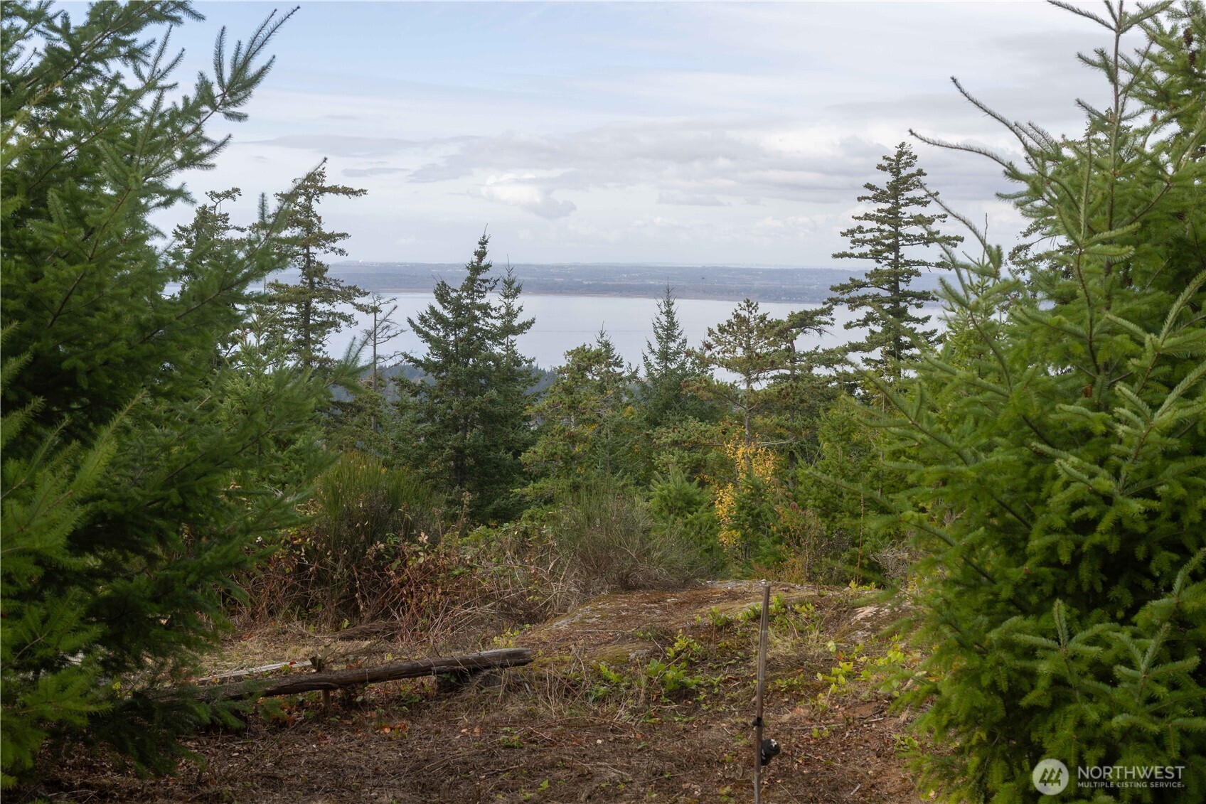 157 Chuckanut Crest Drive Bellingham, WA 98229 - Photo 15 of 40 a view of a lake
