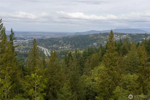 a view of a lake with a tree