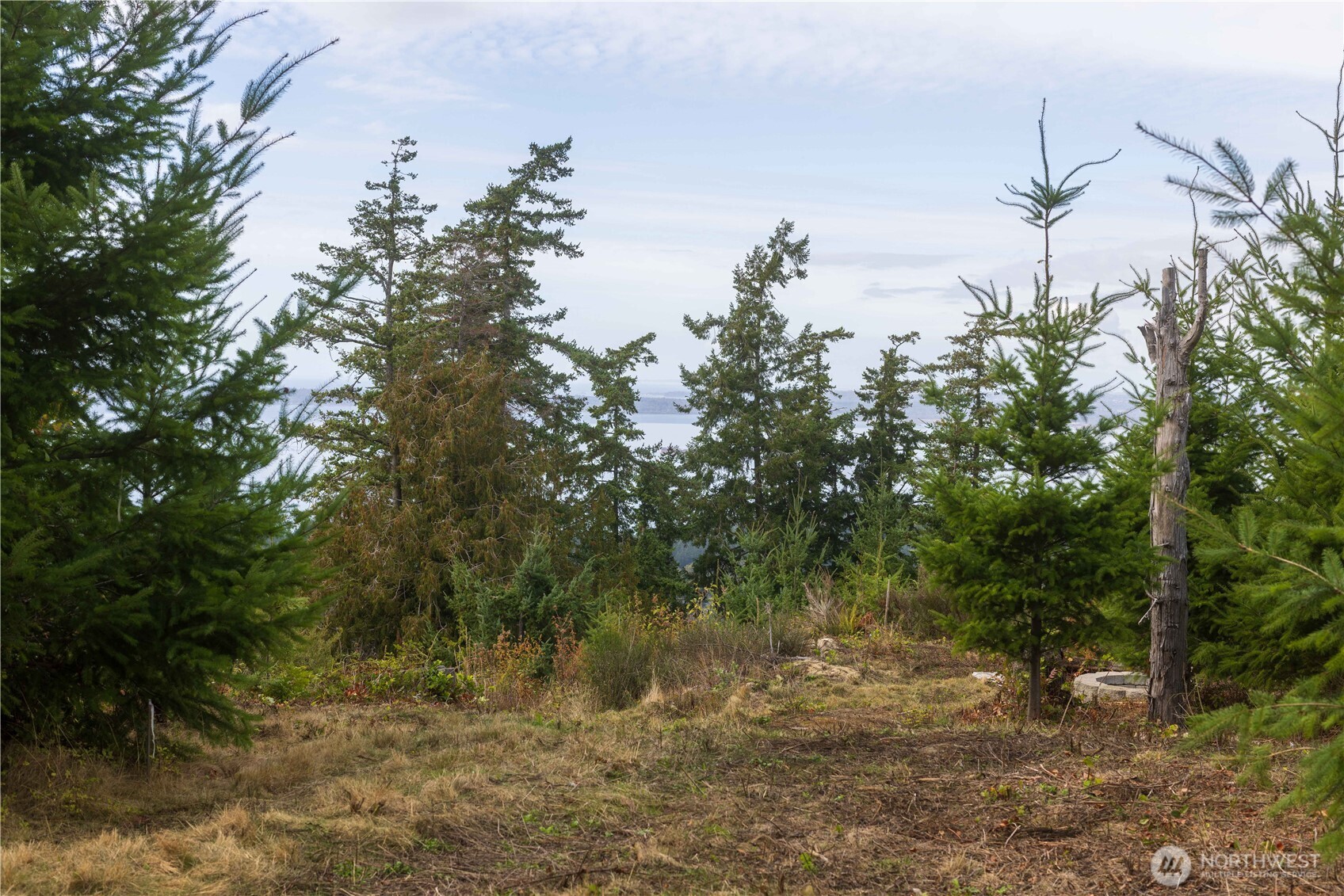 157 Chuckanut Crest Drive Bellingham, WA 98229 - Photo 17 of 40 a view of a lake with a tree