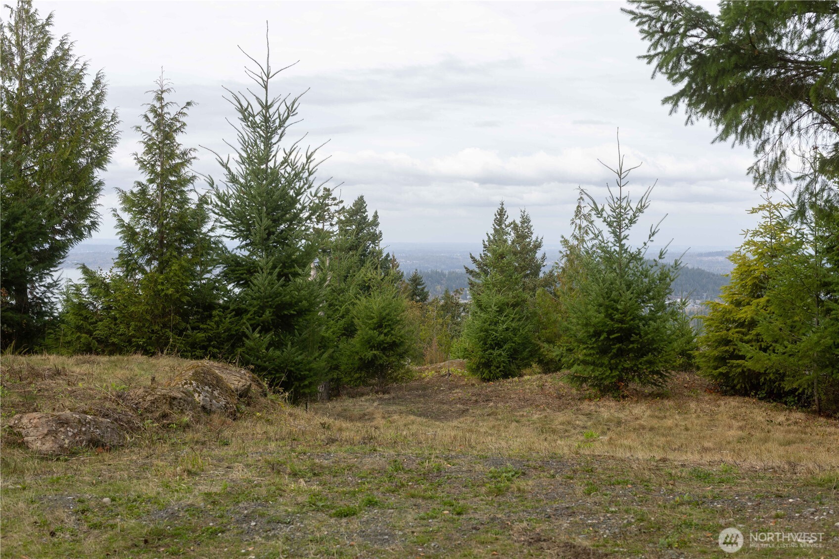 157 Chuckanut Crest Drive Bellingham, WA 98229 - Photo 19 of 40 a view of a yard with a tree
