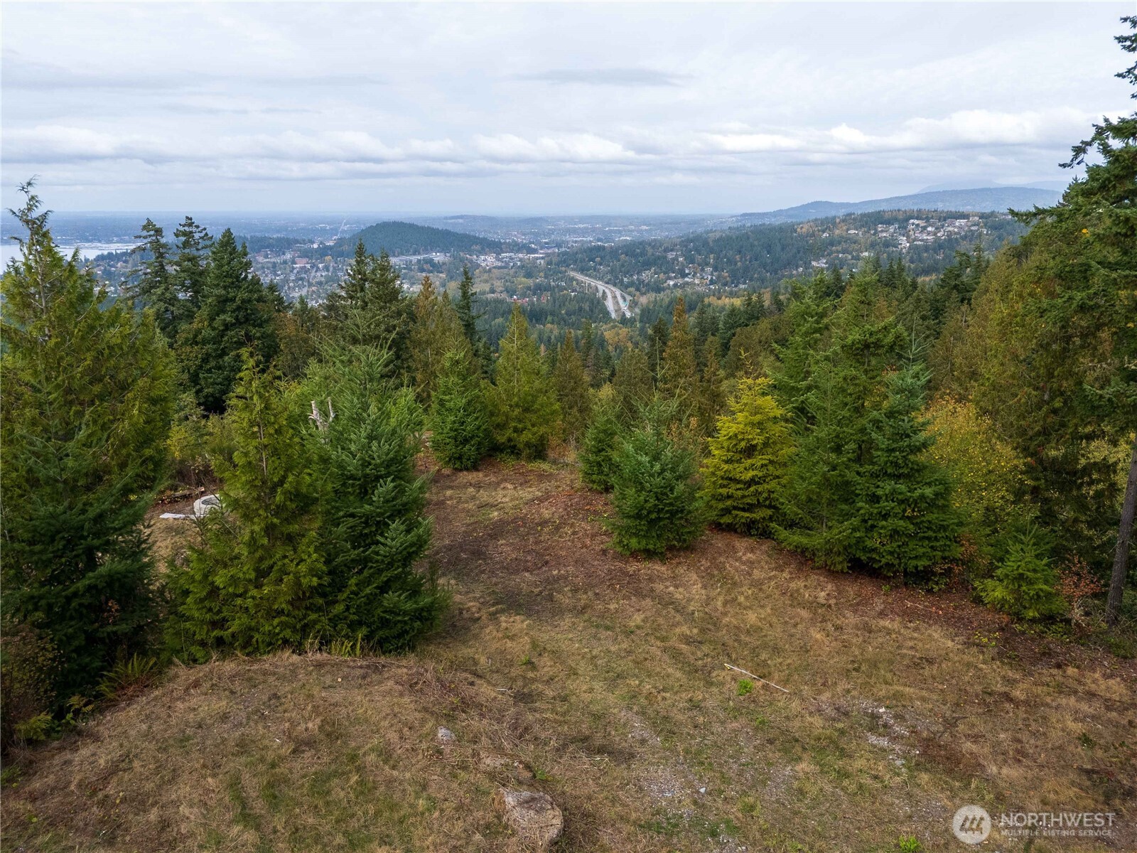 157 Chuckanut Crest Drive Bellingham, WA 98229 - Photo 22 of 40 a view of a city with lush green forest