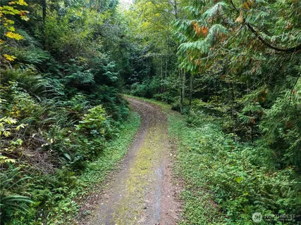 a view of a pathway both side of yard