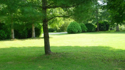 510 Mary Cromwell Road Jamestown, TN 38556 - Photo 12 of 25 Additional Photo