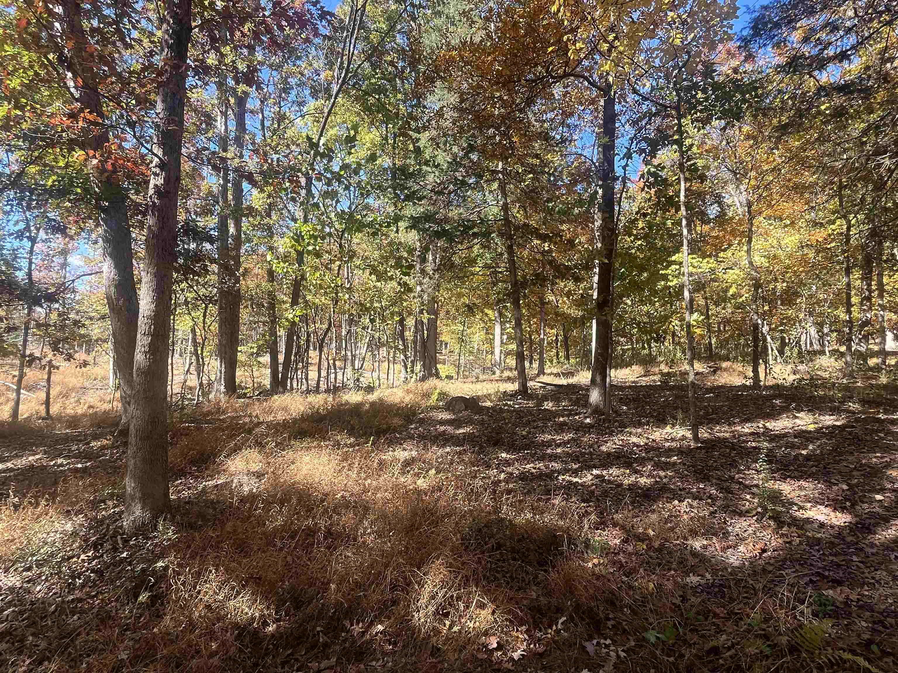 330 Bald Rock Road Verona, VA 24482 - Photo 14 of 18