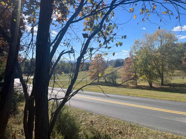 a view of a yard with a tree
