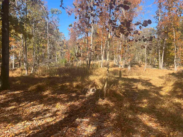 a view of yard with trees