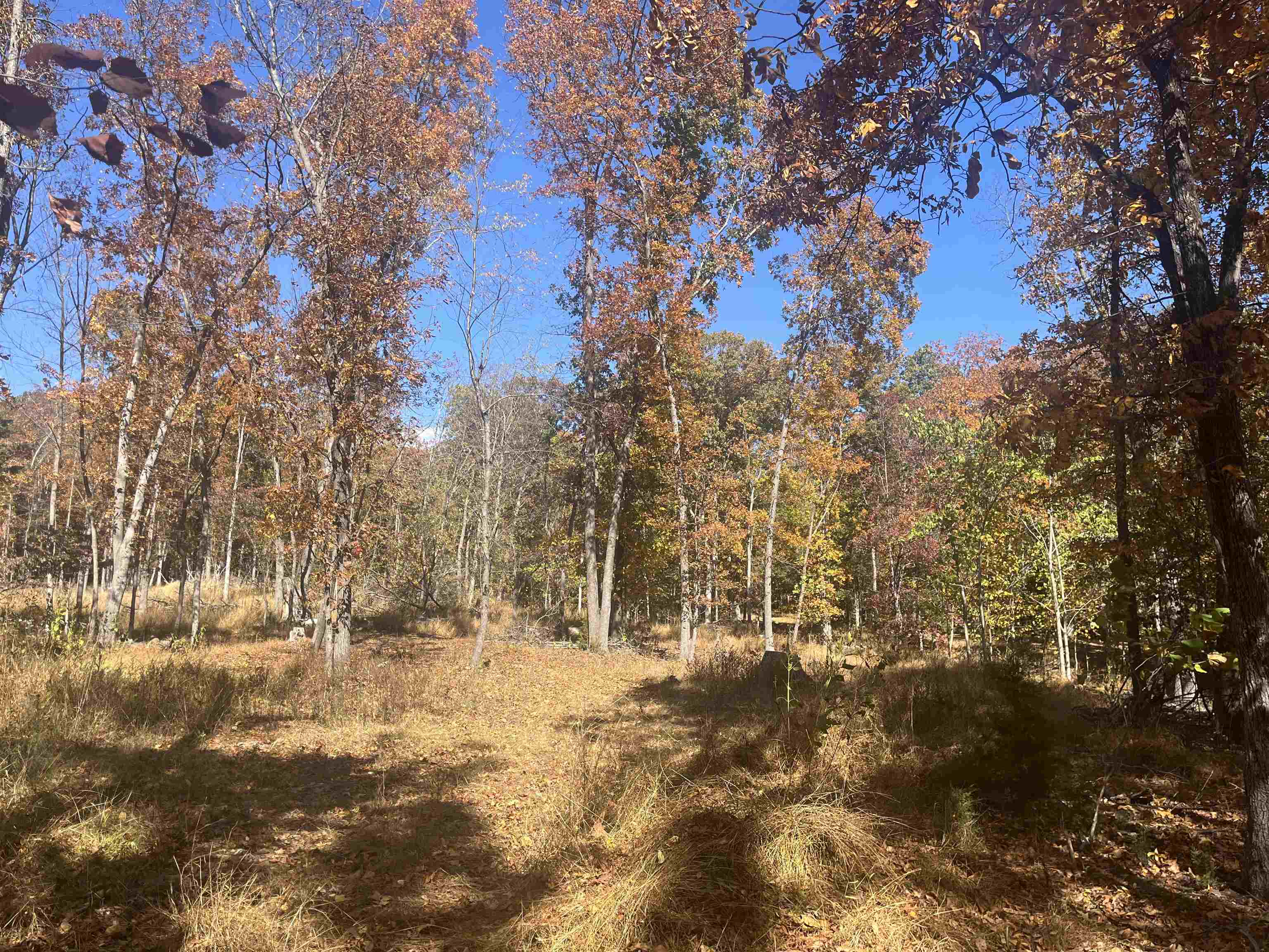 330 Bald Rock Road Verona, VA 24482 - Photo 4 of 18 a view of snow covered with snow