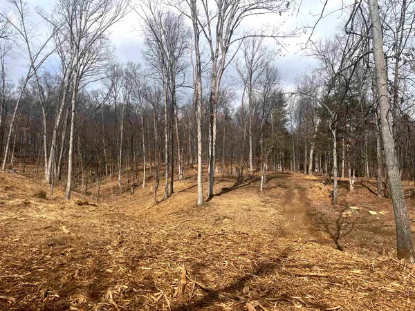 a view of backyard space with trees