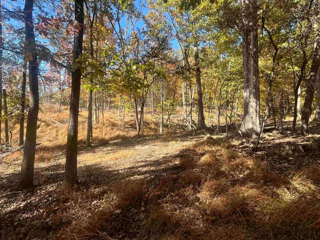 a view of outdoor space with lots of trees