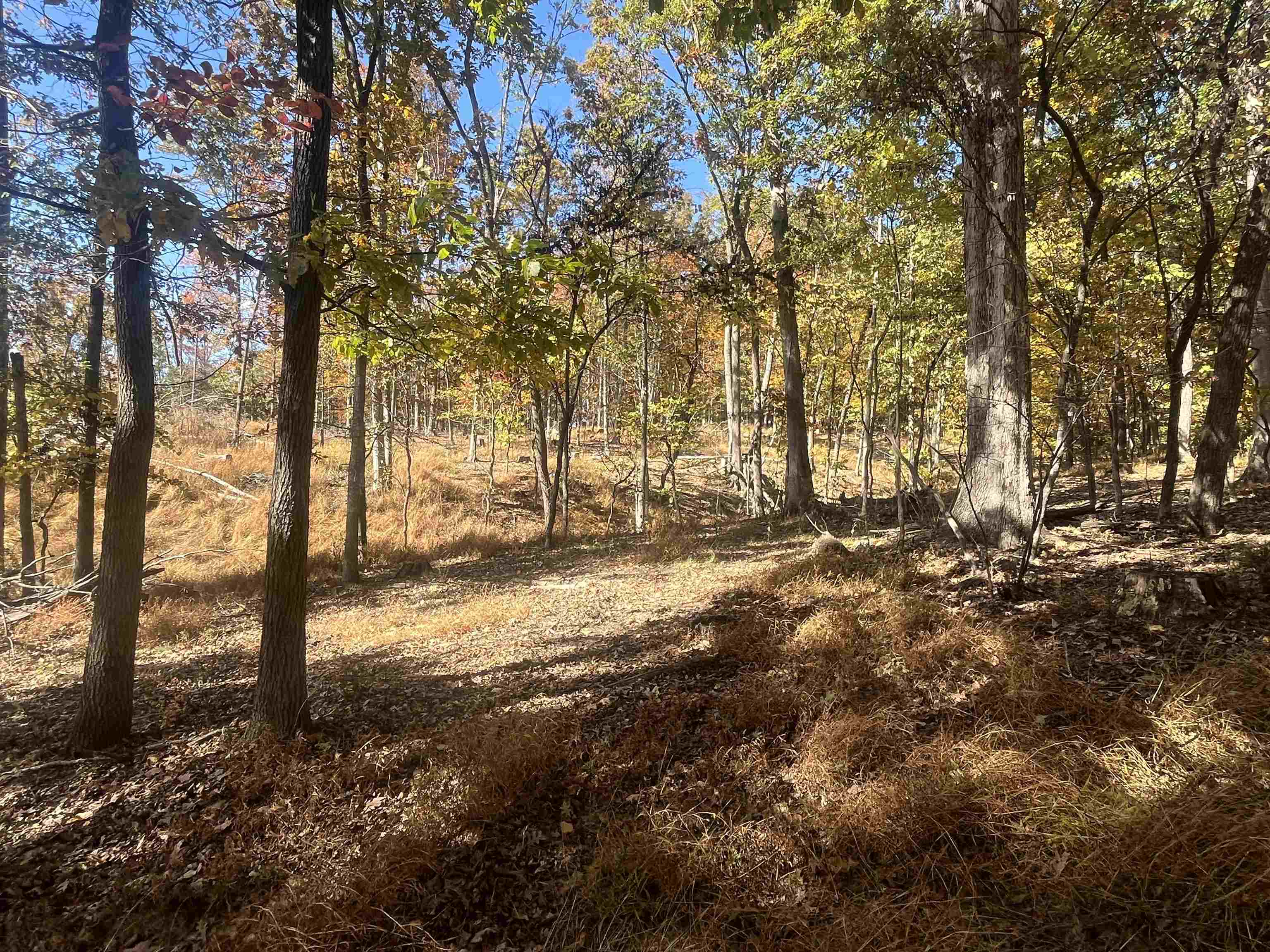 330 Bald Rock Road Verona, VA 24482 - Photo 10 of 18 a view of outdoor space with lots of trees
