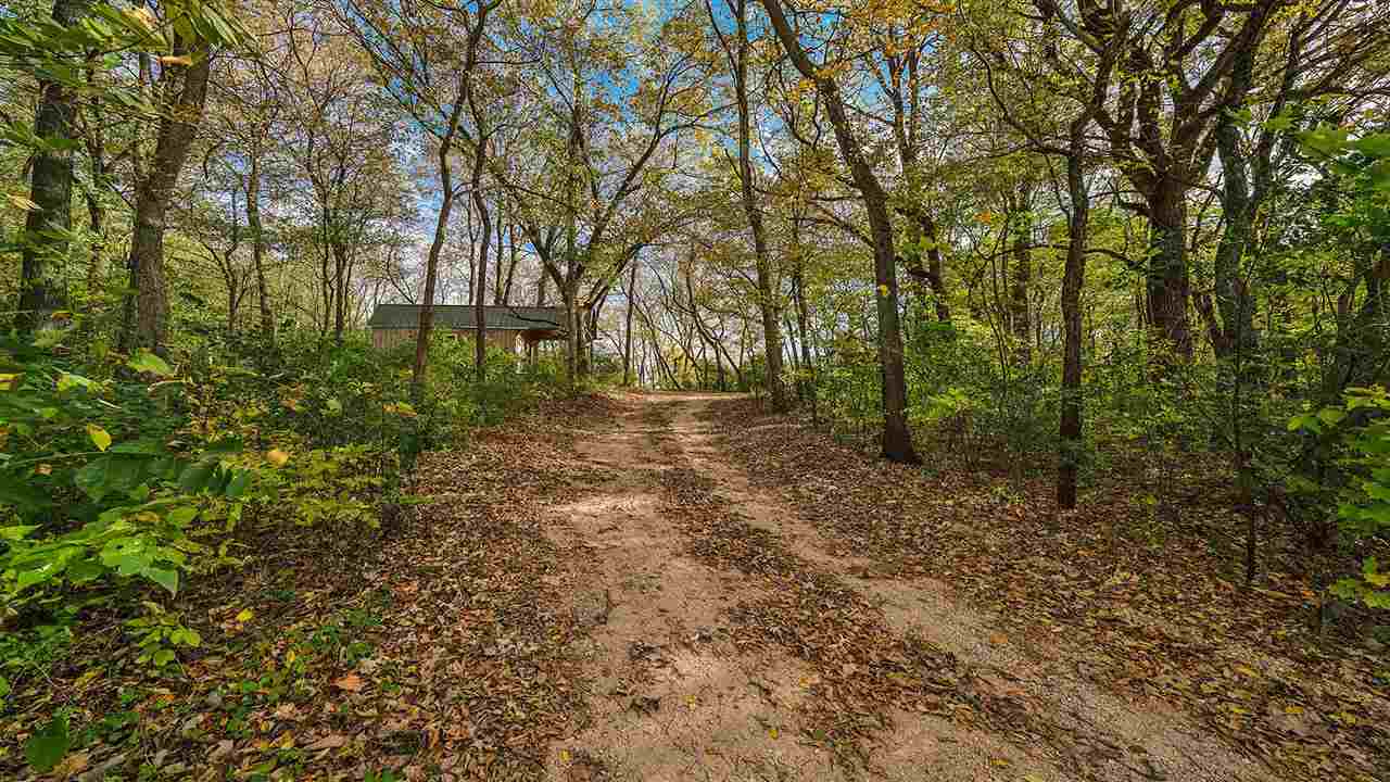 6315 North River Road Byron, IL 61010 - Photo 40 of 40 a big yard with lots of green space and deers