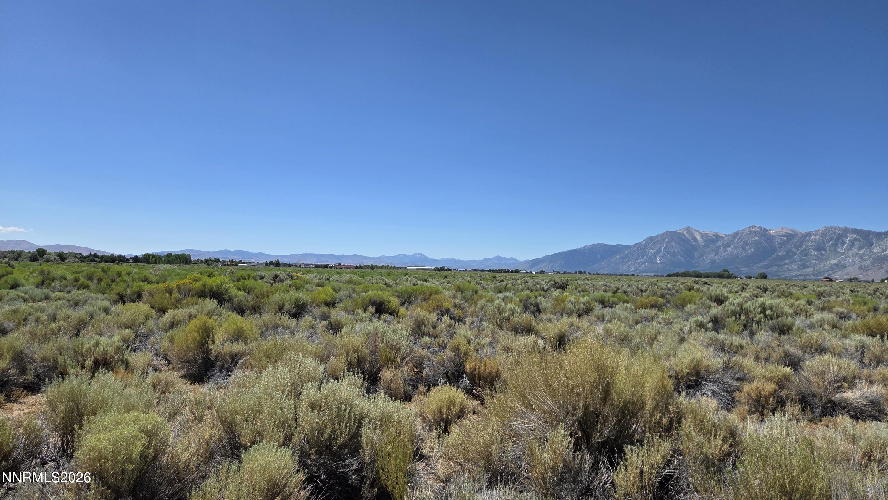 1205 Stephanie Way Minden, NV 89423 - Photo 9 of 25 20260716_110744