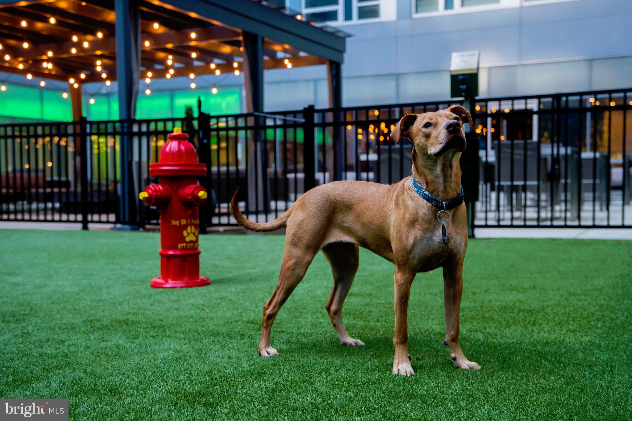 1900-20 Arch Street, Unit 214 Philadelphia, PA 19103 - Photo 19 of 30 a childrens park with lots of swings and slides and swimming pool in the back