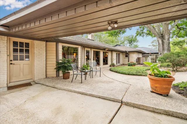 a view of a backyard with a fountain plants and large tree