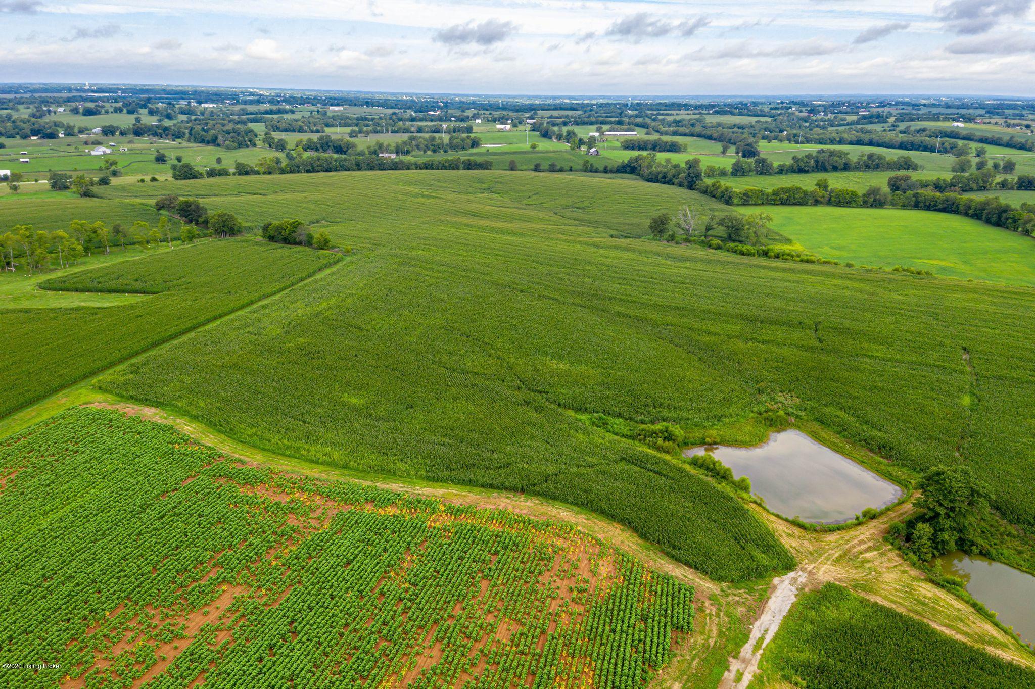 0 Cropper Road Shelbyville, KY 40065 - Photo 9 of 30 Aerial