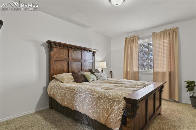 3585 Spaatz Road Monument, CO 80132 - Photo 18 of 35