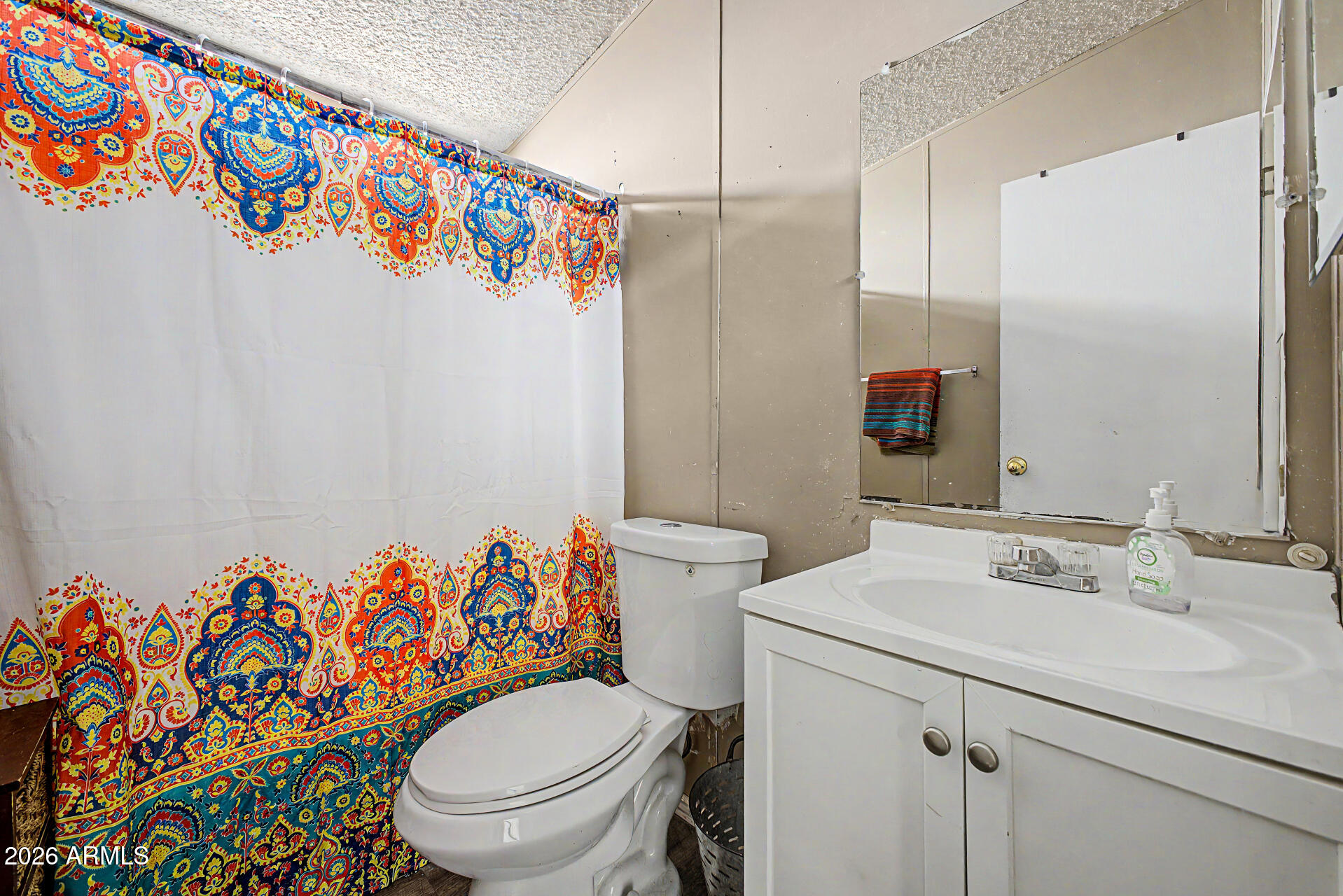 8595 North Palo Verde Road Florence, AZ 85132 - Photo 19 of 41 a bathroom with a sink a toilet and a mirror