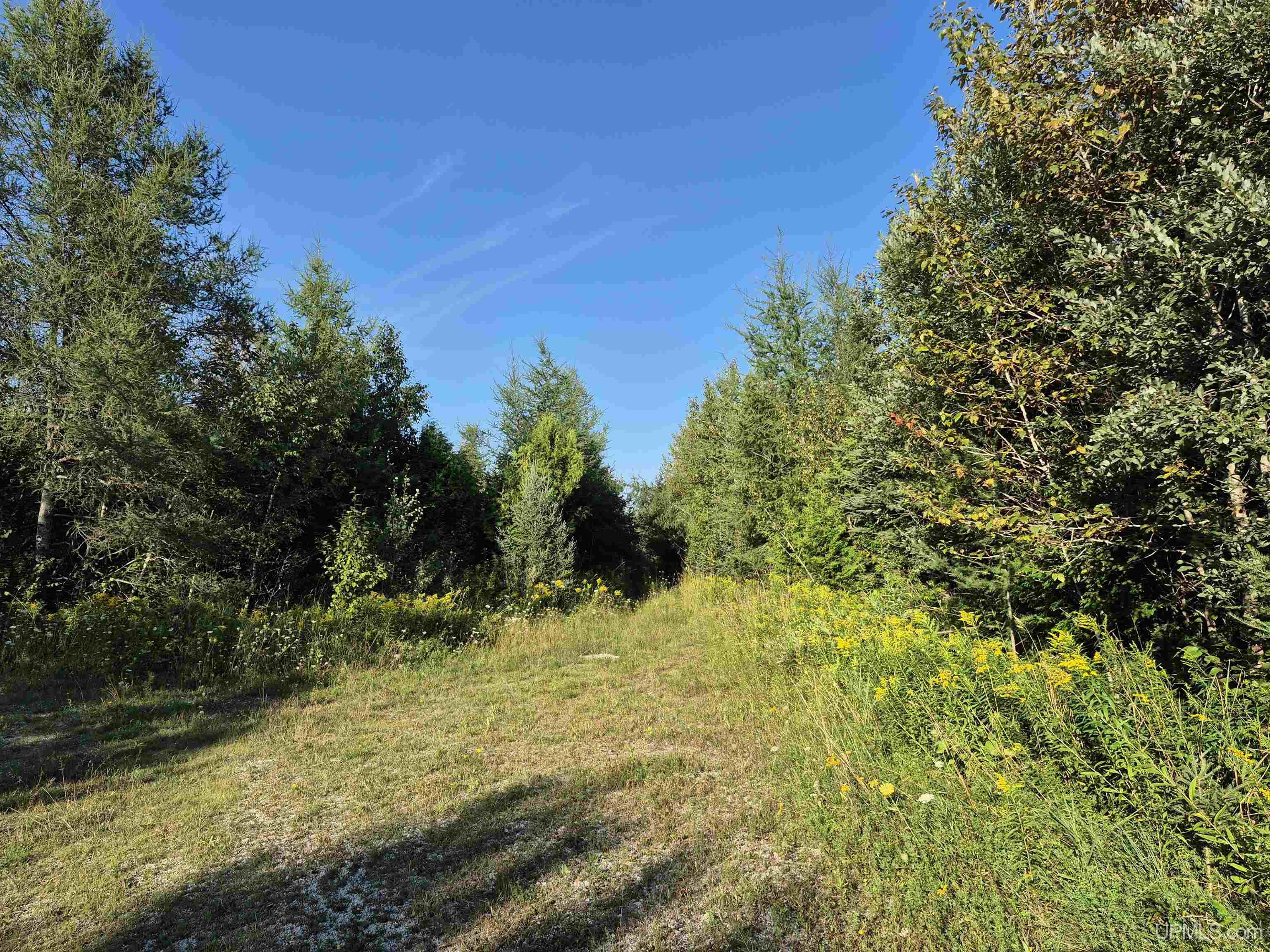 332-acres River Road Gulliver, MI 49840 - Photo 2 of 14
