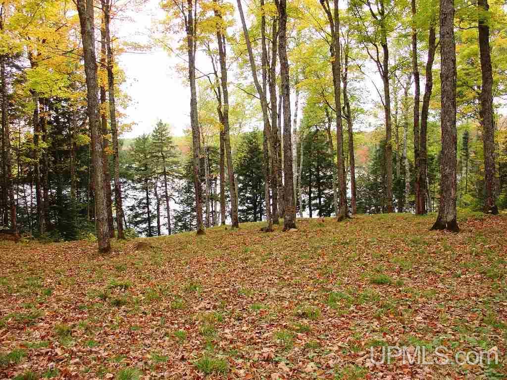 Off East Hawk Lake Road, Unit 3 Marenisco, MI 49947 - Photo 3 of 18