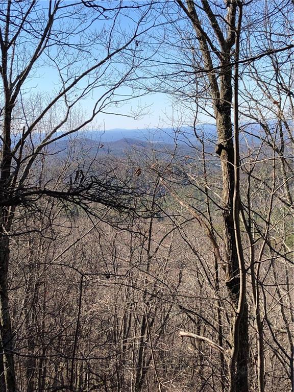 View shots are from higher up on the property.
