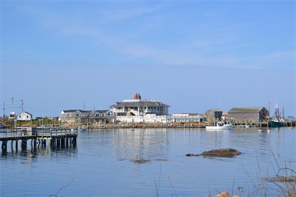 a view of a water yard