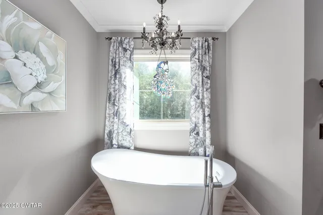 a view of a backyard with plants and a patio