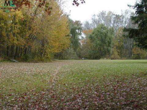11391 35 Mile Road Romeo, MI 48065 - Photo 7 of 8 708288-6.JPG