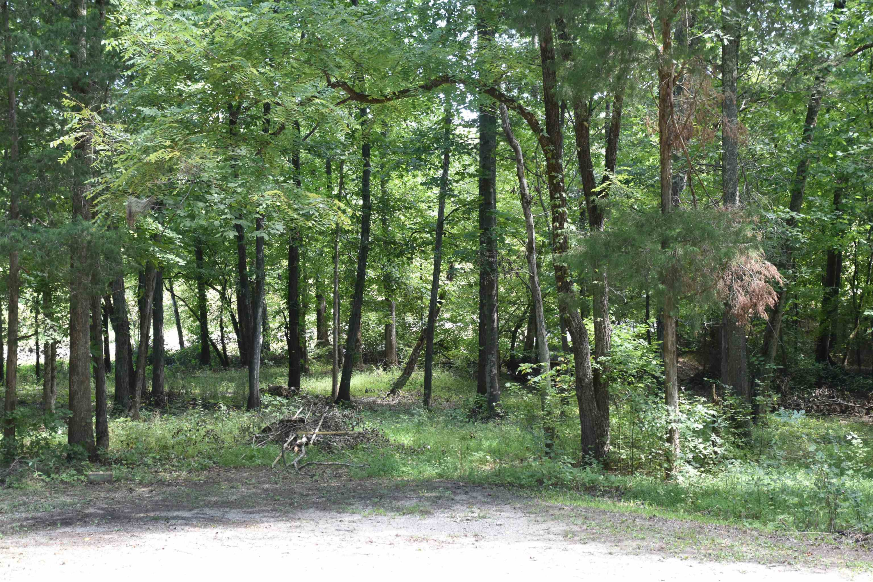 815 Little Jackson Road Parsons, TN 38363 - Photo 13 of 20 Photo 13