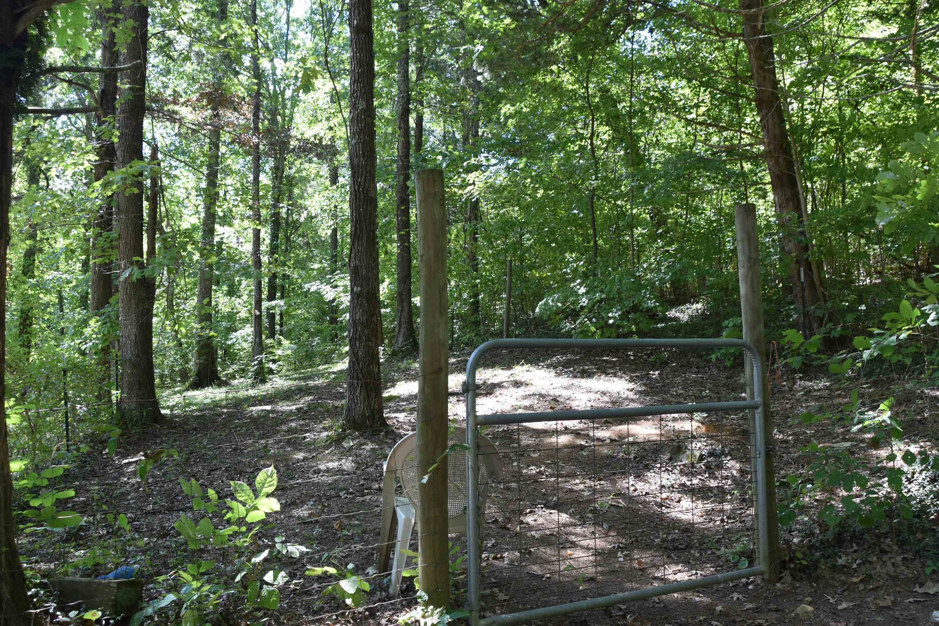 815 Little Jackson Road Parsons, TN 38363 - Photo 14 of 20 Photo 15