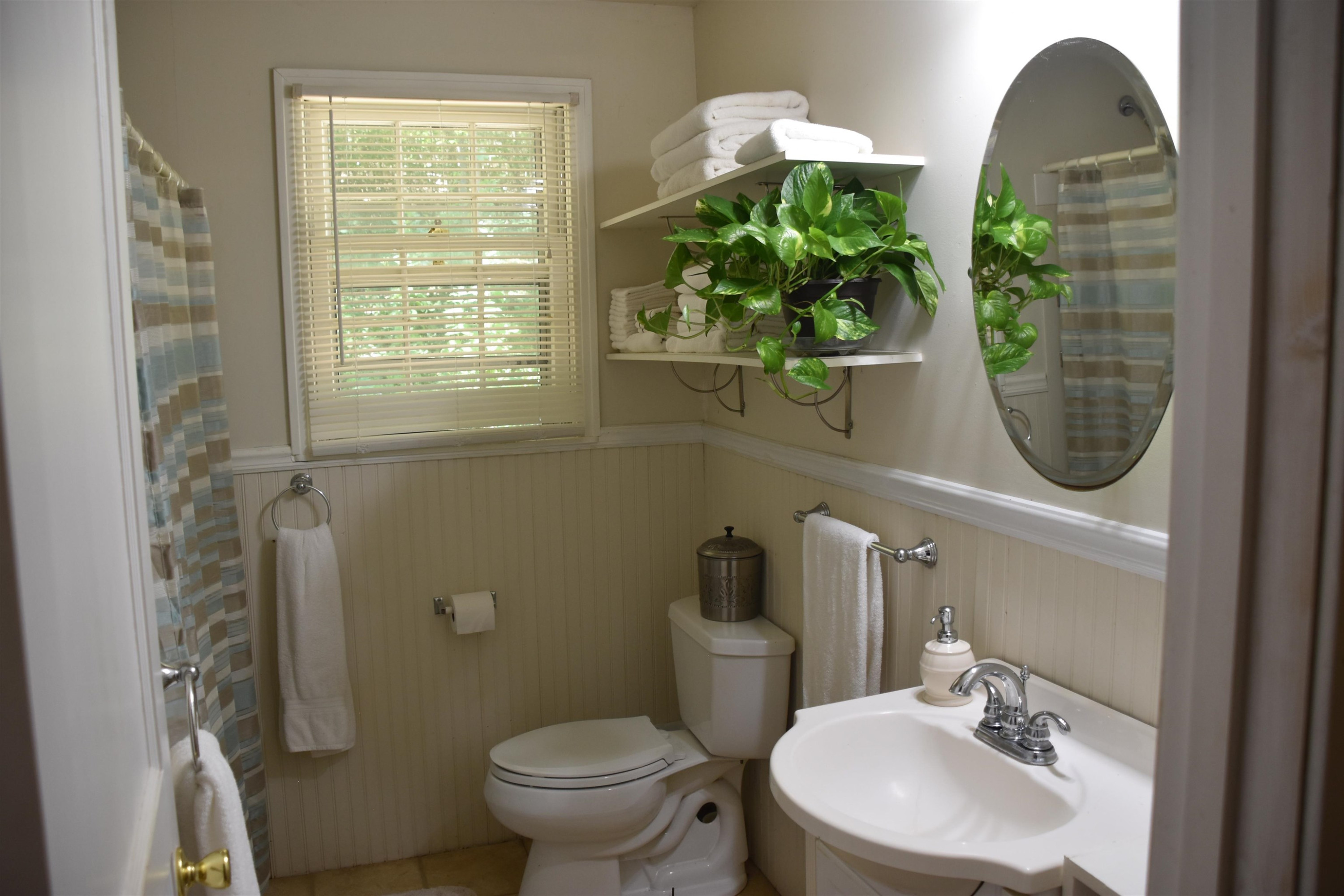 815 Little Jackson Road Parsons, TN 38363 - Photo 7 of 20 Photo 7