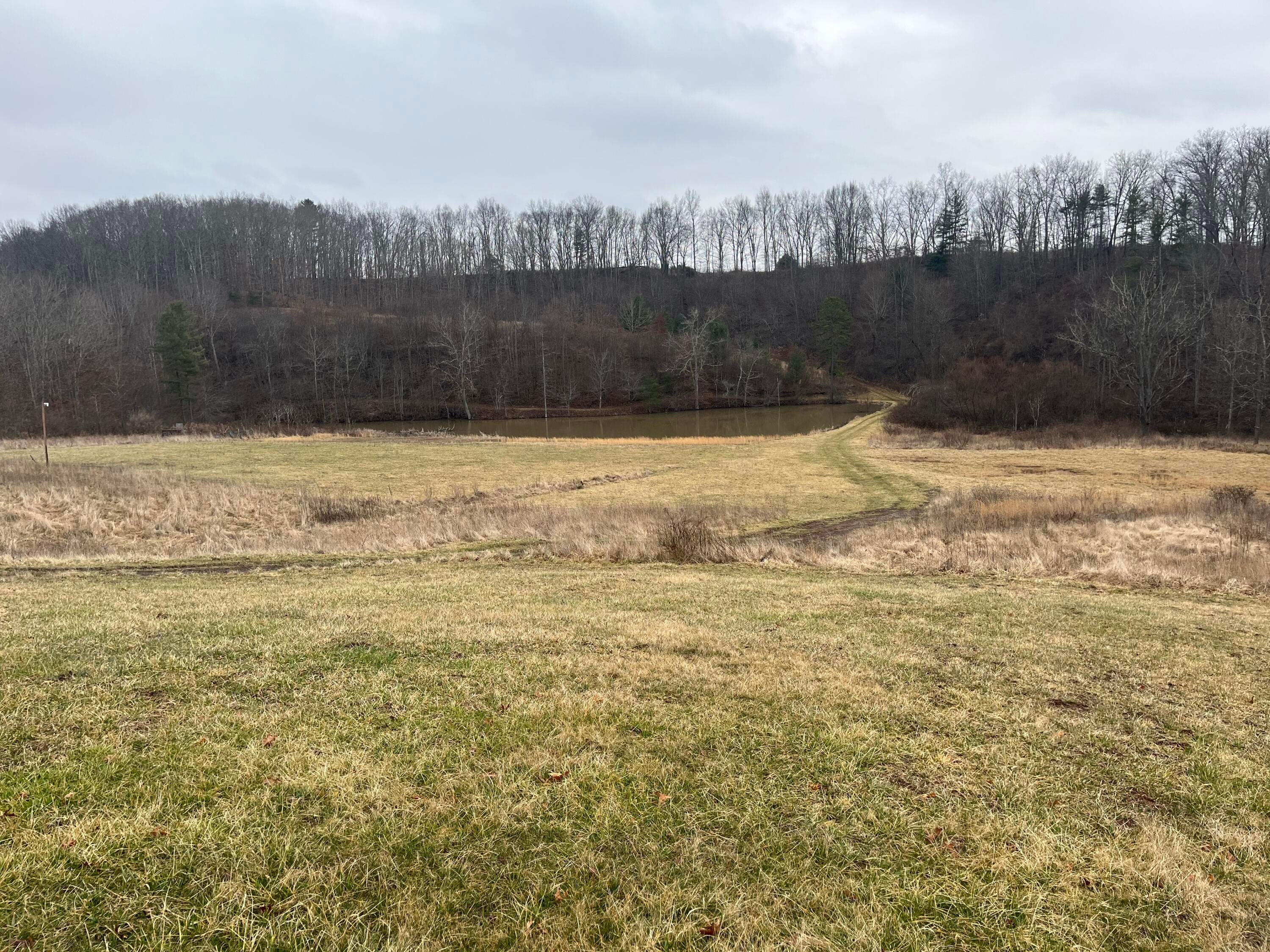 591 Vaughan Road Frankford, WV 24938 - Photo 3 of 23 Gallery Image 3