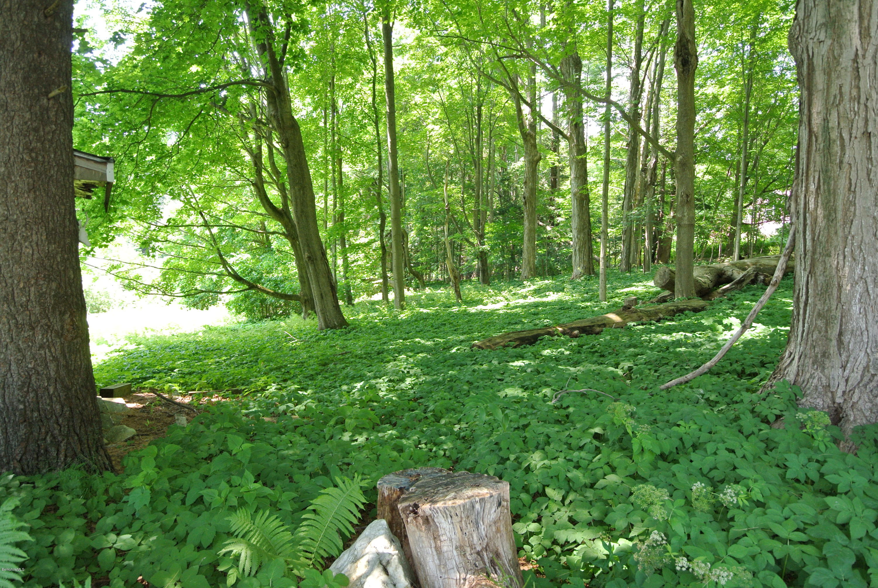 48 Old Stockbridge Road Lenox, MA 01240 - Photo 39 of 43 DSC_7688