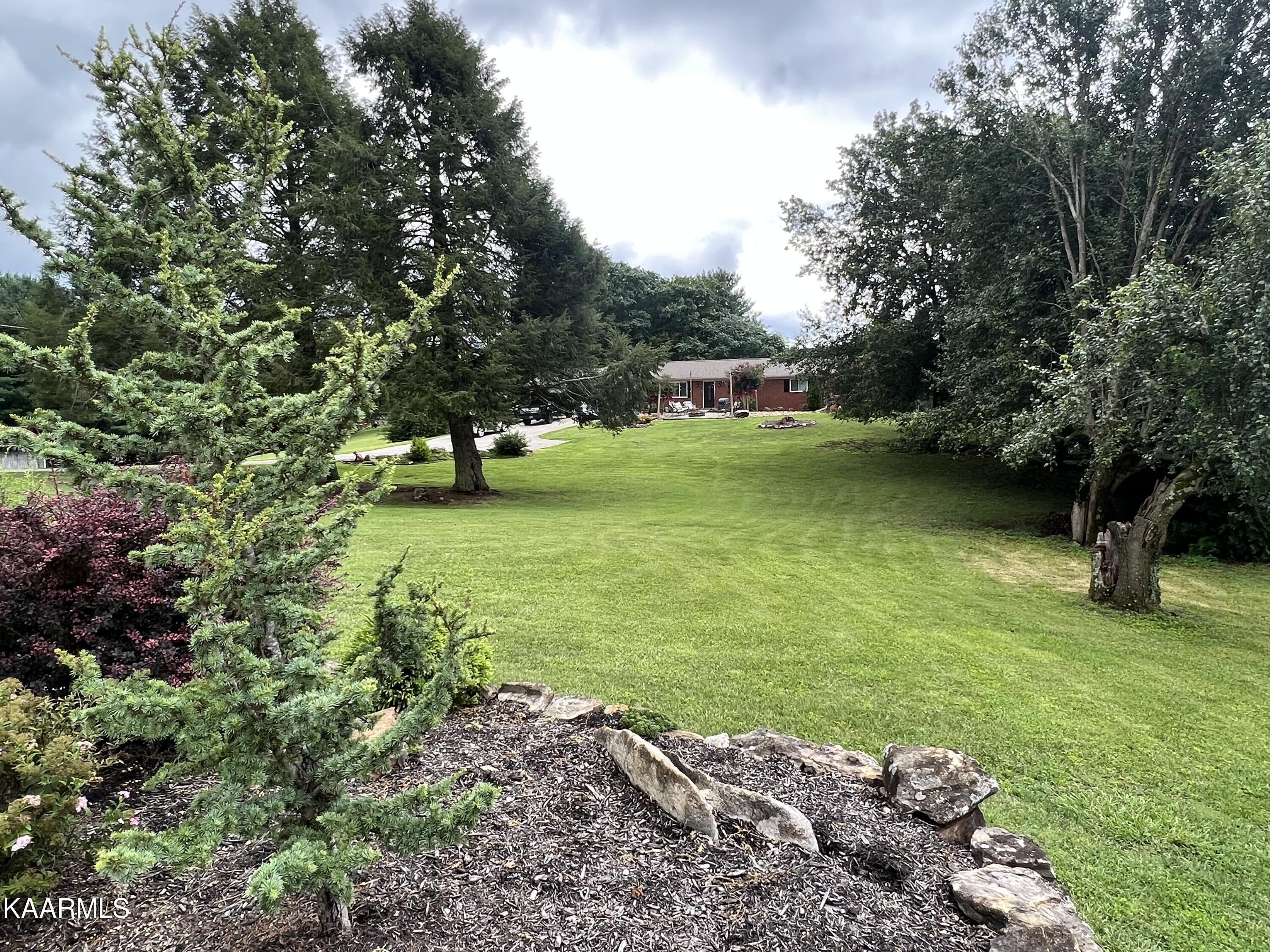 IMG_3261