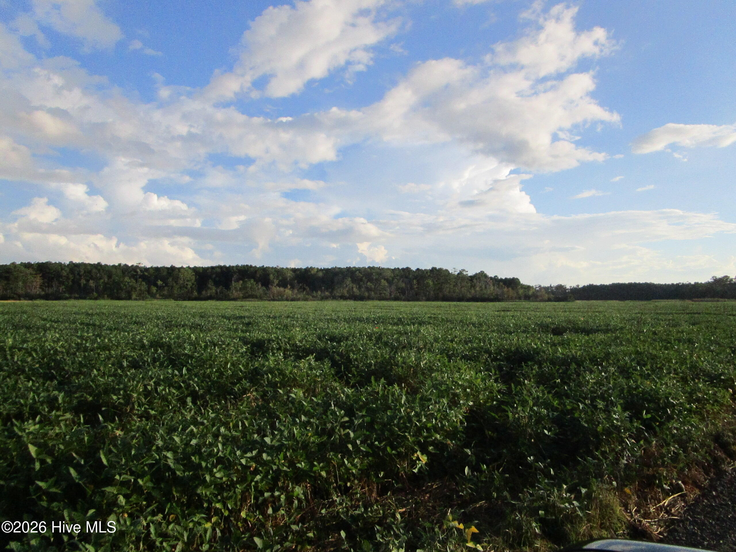 0 Bluff Point Road Elizabeth City, NC 27909 - Photo 5 of 7 IMG_9342