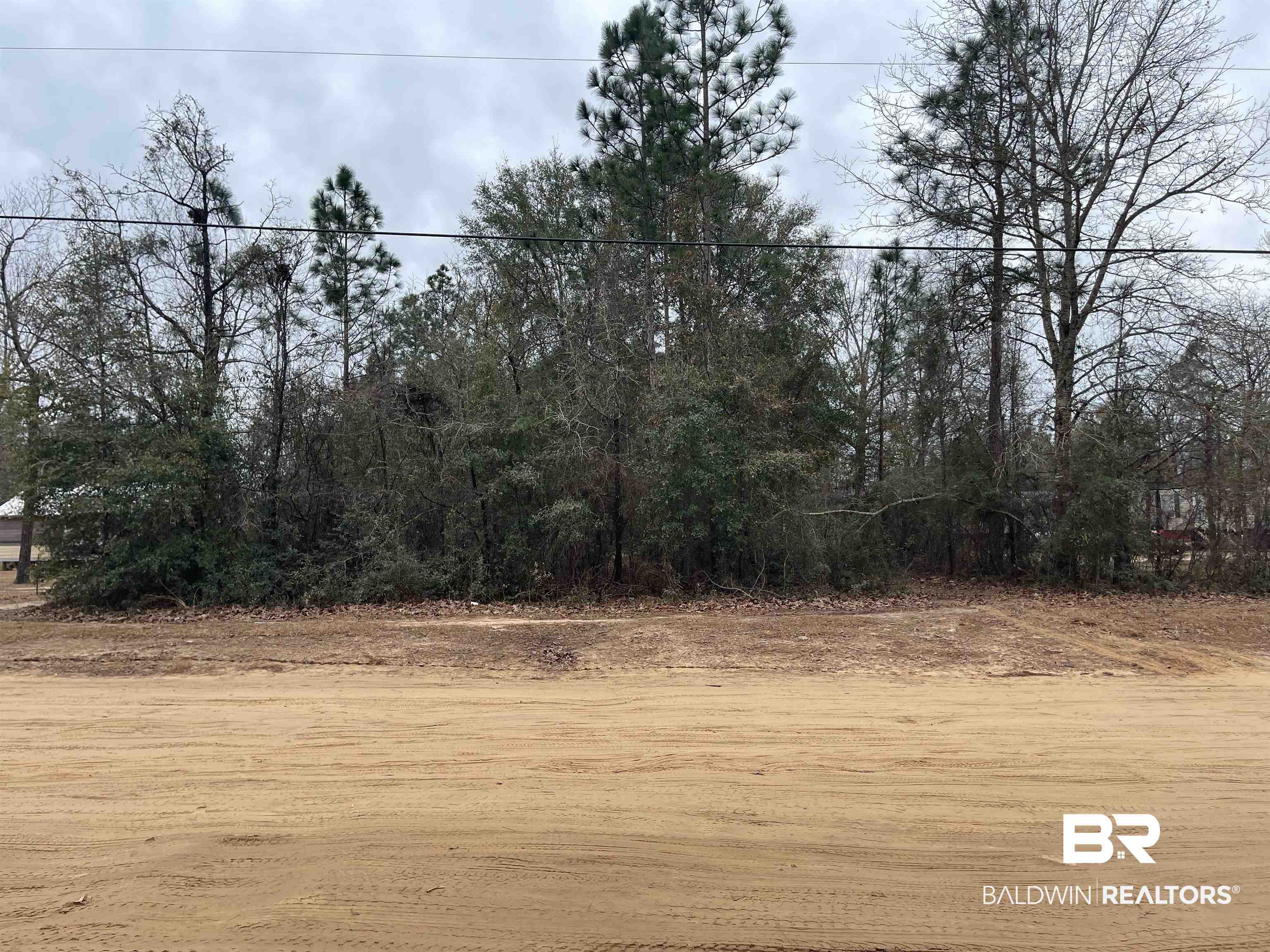 0 Glenwood Farm Road Wilmer, AL 36587 - Photo 1 of 6