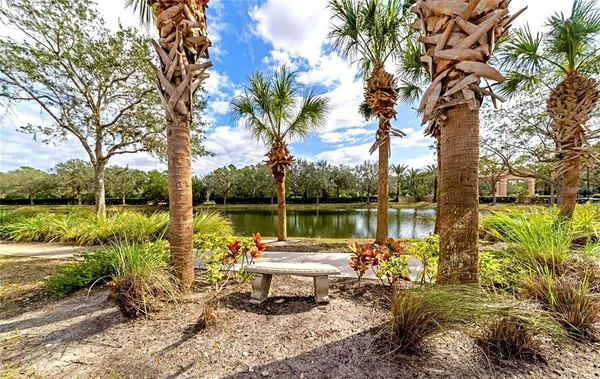 a lake view with a bench under large trees