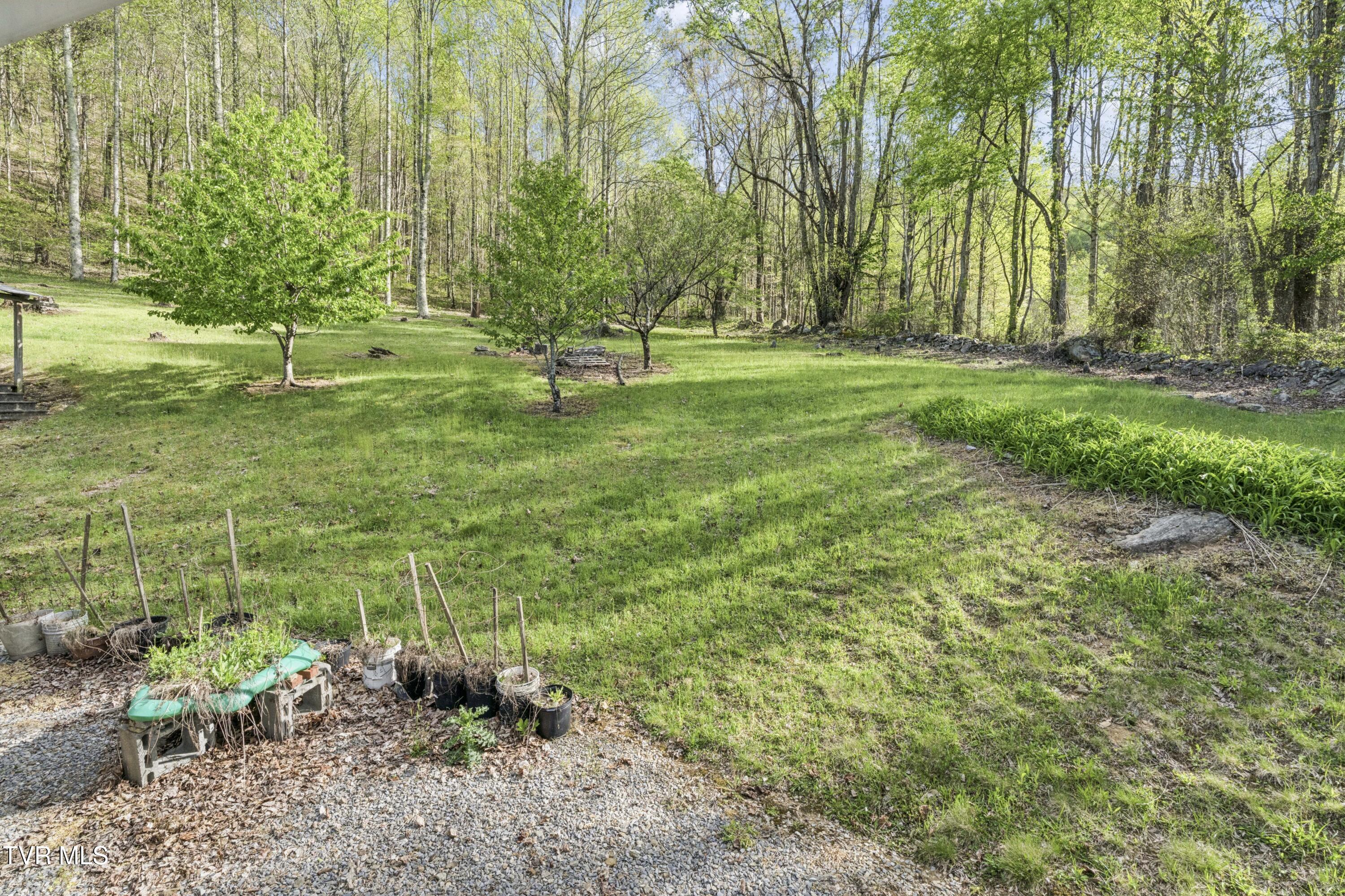 2169 Rice Creek Road Flag Pond, TN 37657 - Photo 34 of 79 Ricecreek-33