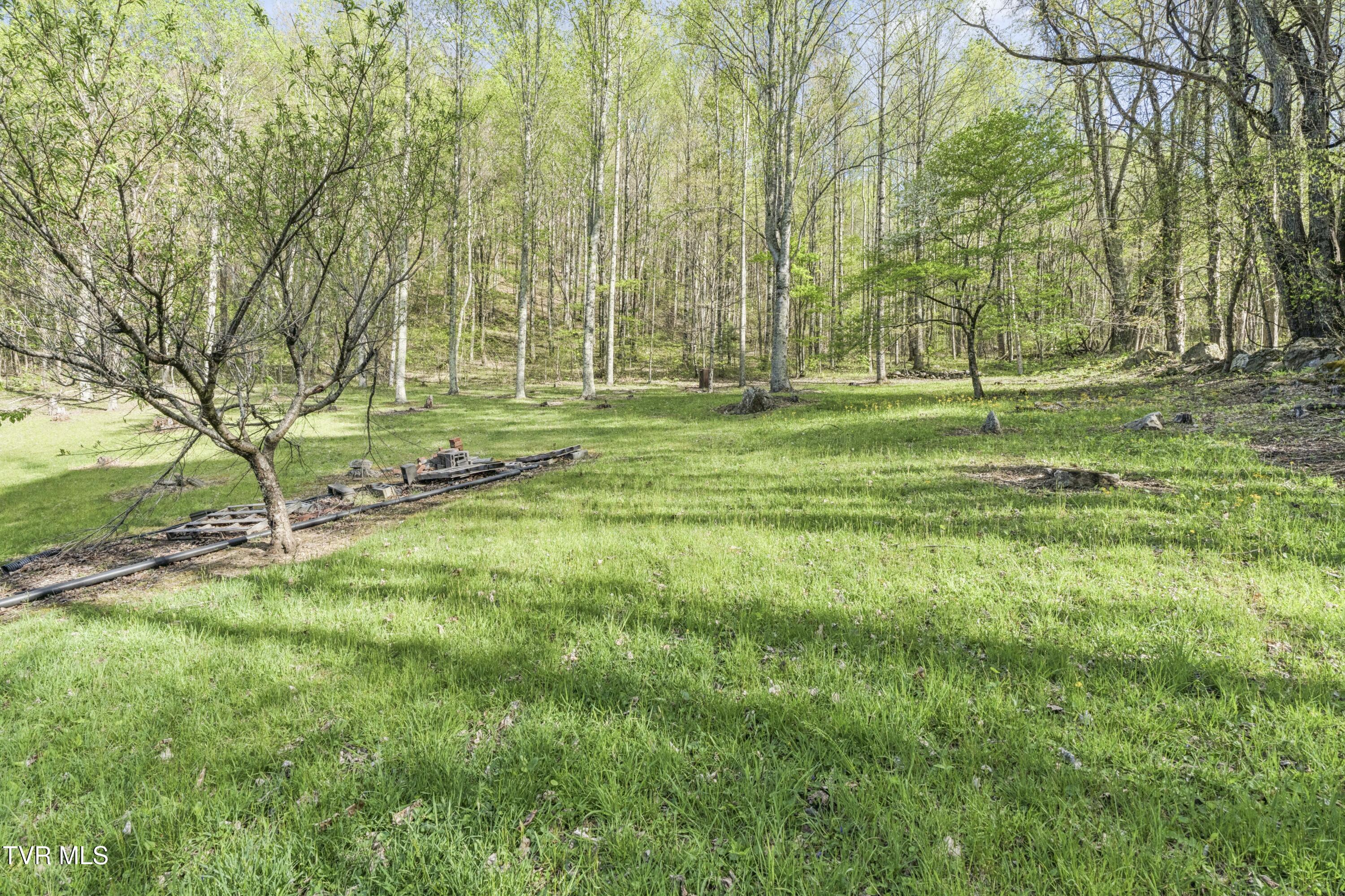2169 Rice Creek Road Flag Pond, TN 37657 - Photo 36 of 79 Ricecreek-35