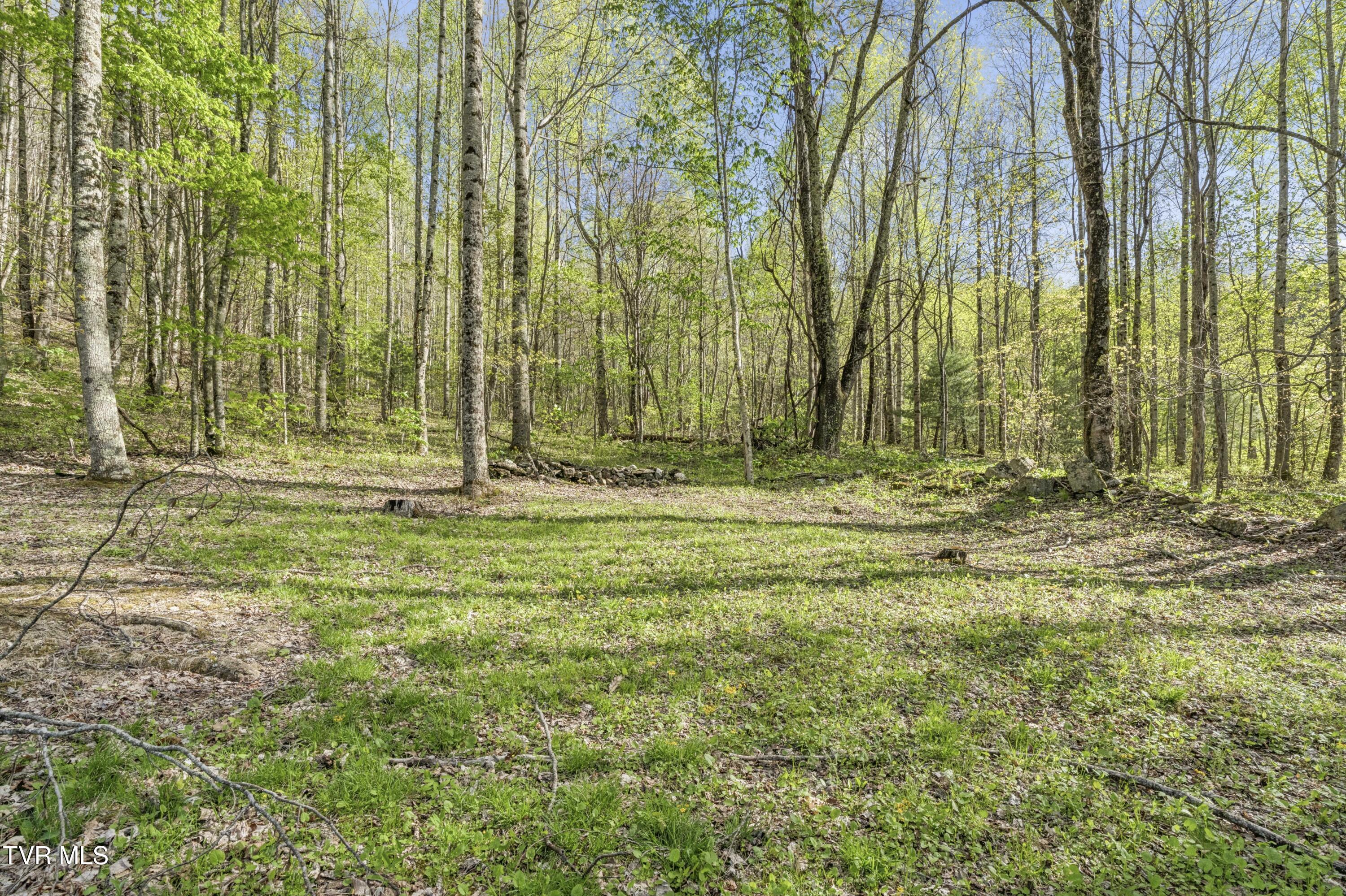 2169 Rice Creek Road Flag Pond, TN 37657 - Photo 38 of 79 Ricecreek-37