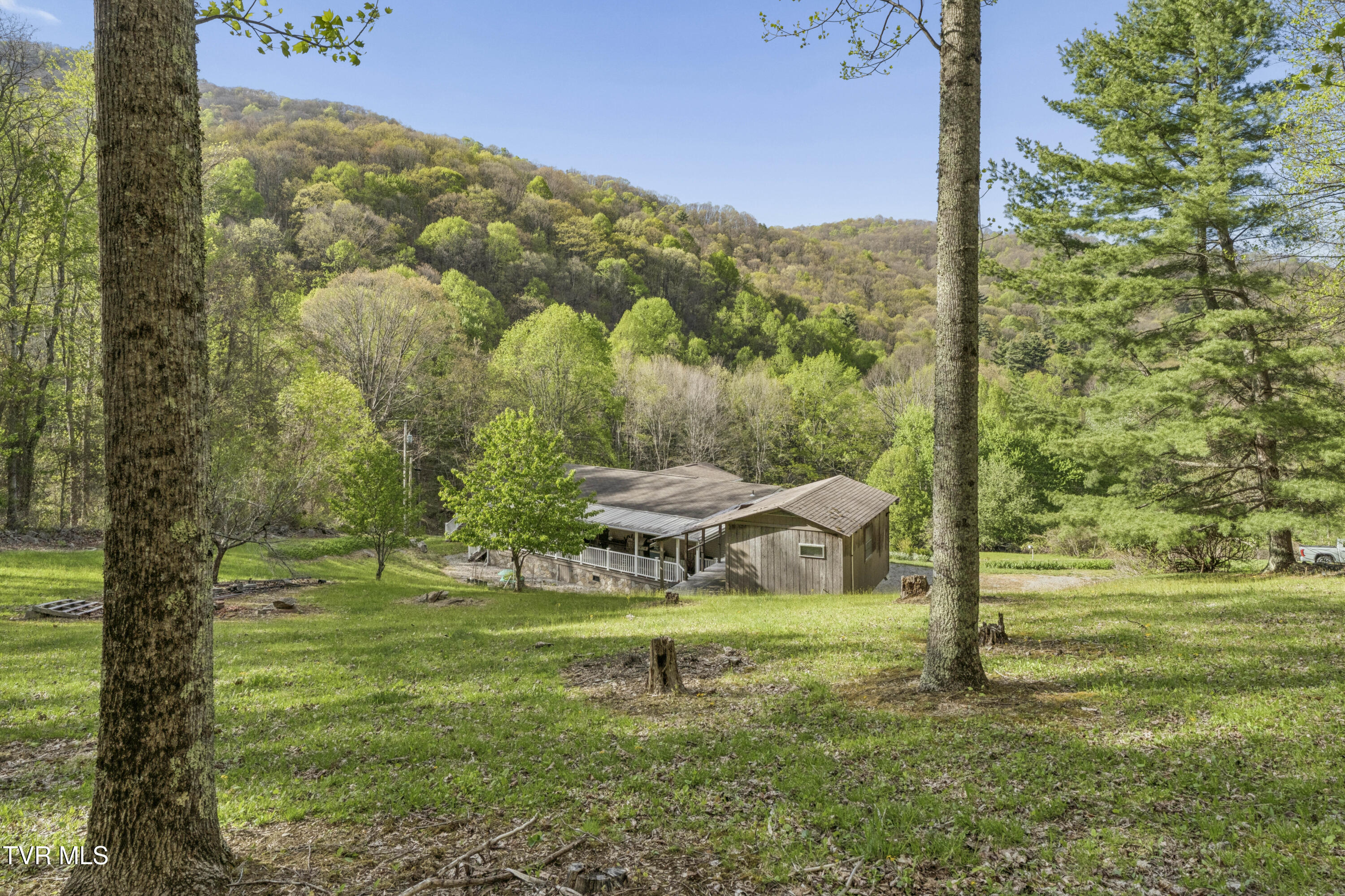 2169 Rice Creek Road Flag Pond, TN 37657 - Photo 40 of 79 Ricecreek-39
